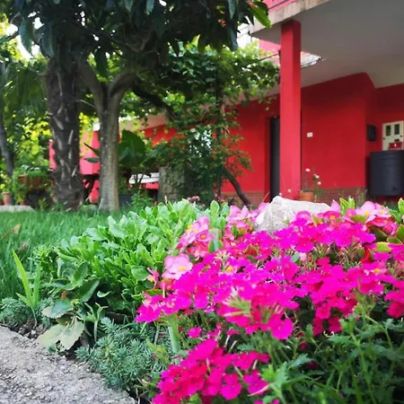 Apartment Franca Portoroz