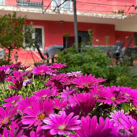 Apartamento Franca Portoroz