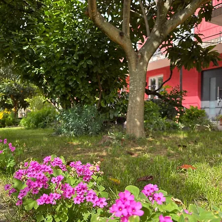 Apartment Franca *